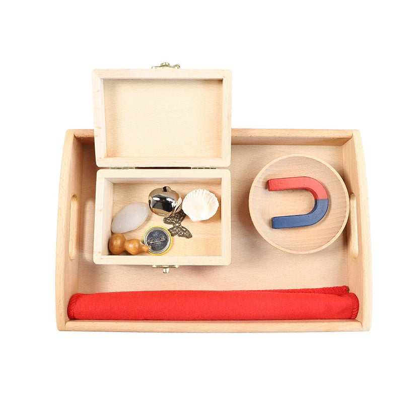 Magnet Activity