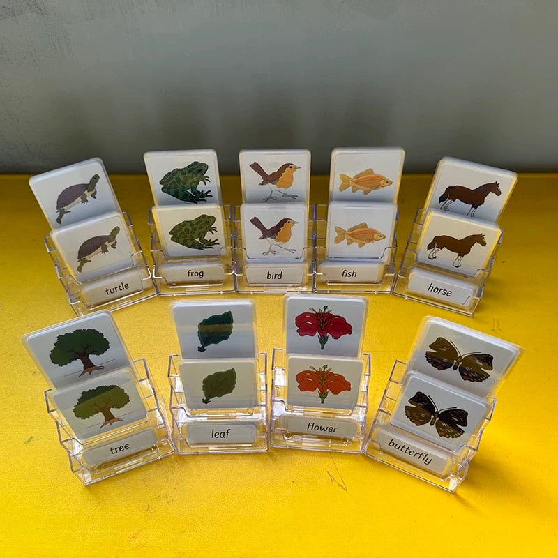 Three-Parts Cards w/ Stand - botany & animal & insect