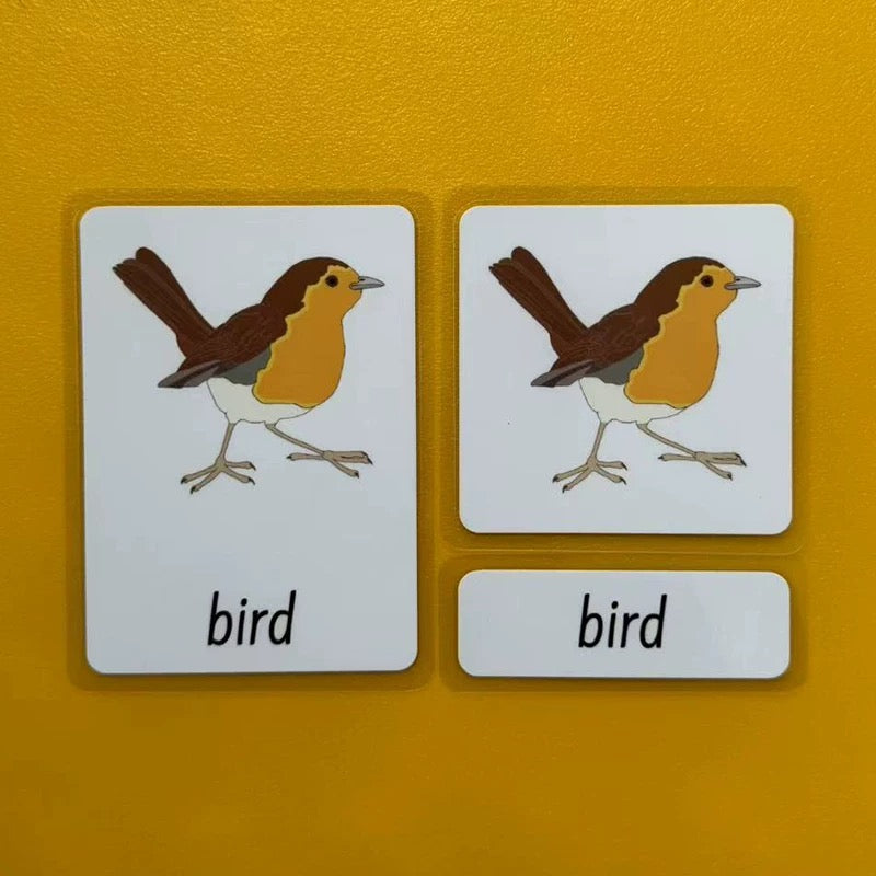 Three-Parts Cards w/ Stand - botany & animal & insect
