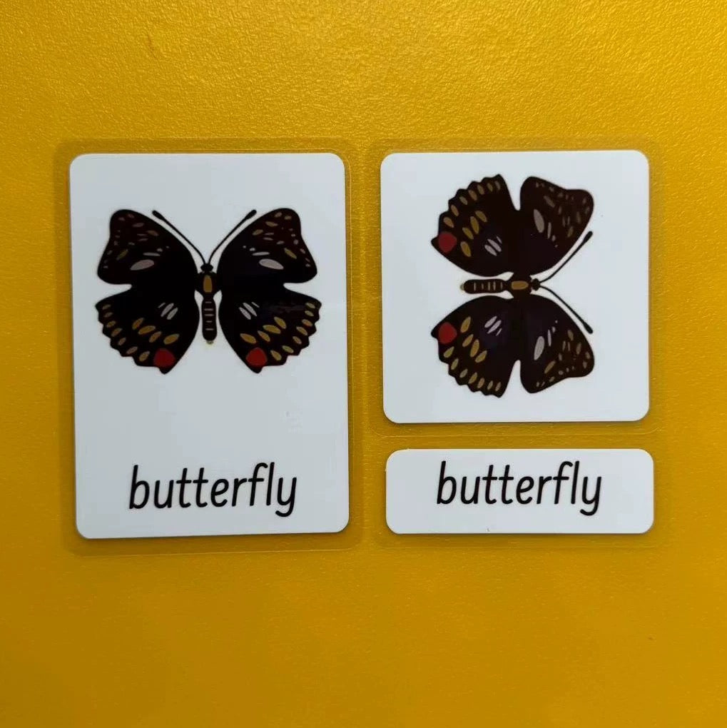 Three-Parts Cards w/ Stand - botany & animal & insect