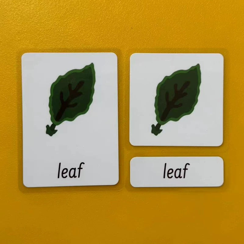 Three-Parts Cards w/ Stand - botany & animal & insect