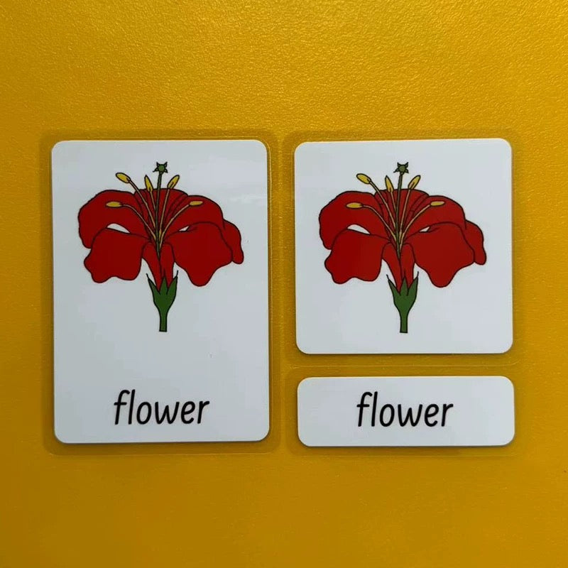 Three-Parts Cards w/ Stand - botany & animal & insect
