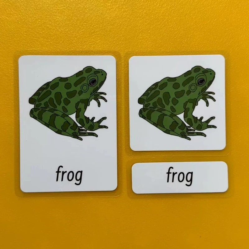 Three-Parts Cards w/ Stand - botany & animal & insect