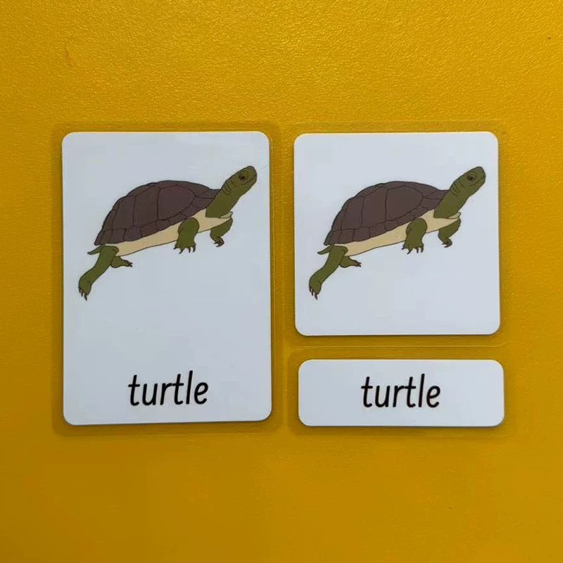 Three-Parts Cards w/ Stand - botany & animal & insect