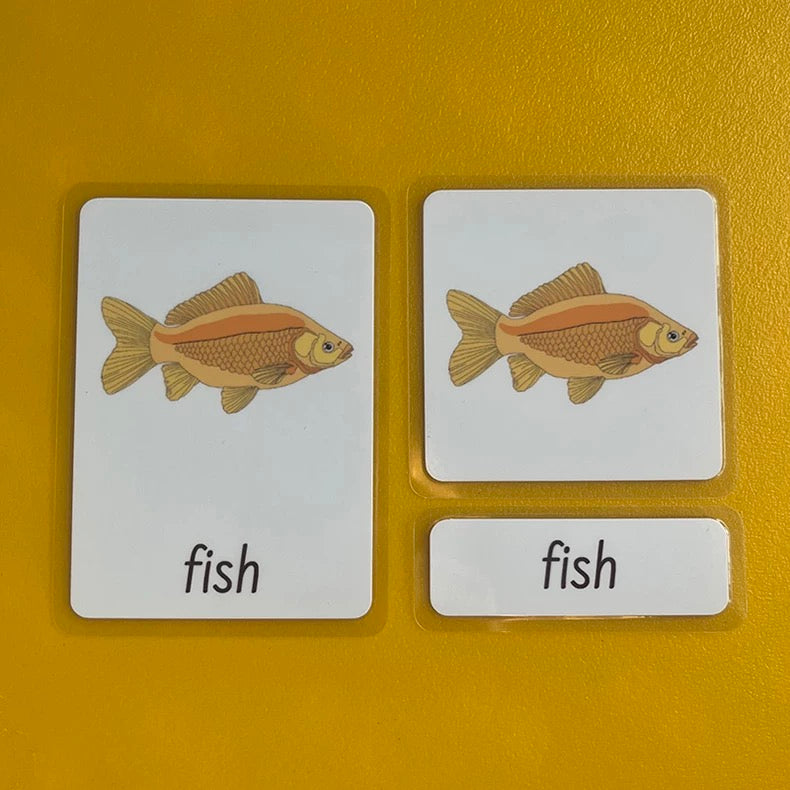 Three-Parts Cards w/ Stand - botany & animal & insect