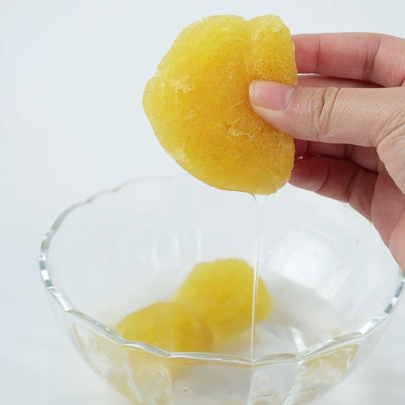 Natural Sea Sponge