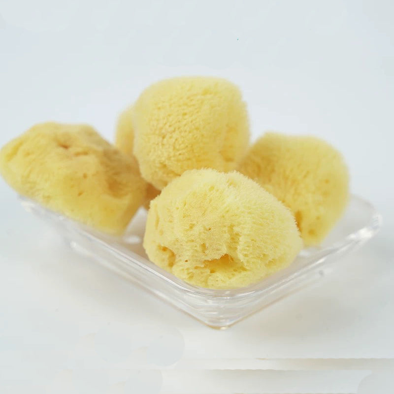 Natural Sea Sponge