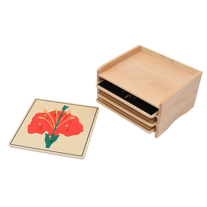 Botany Puzzle Cabinet (3 Puzzles Included)