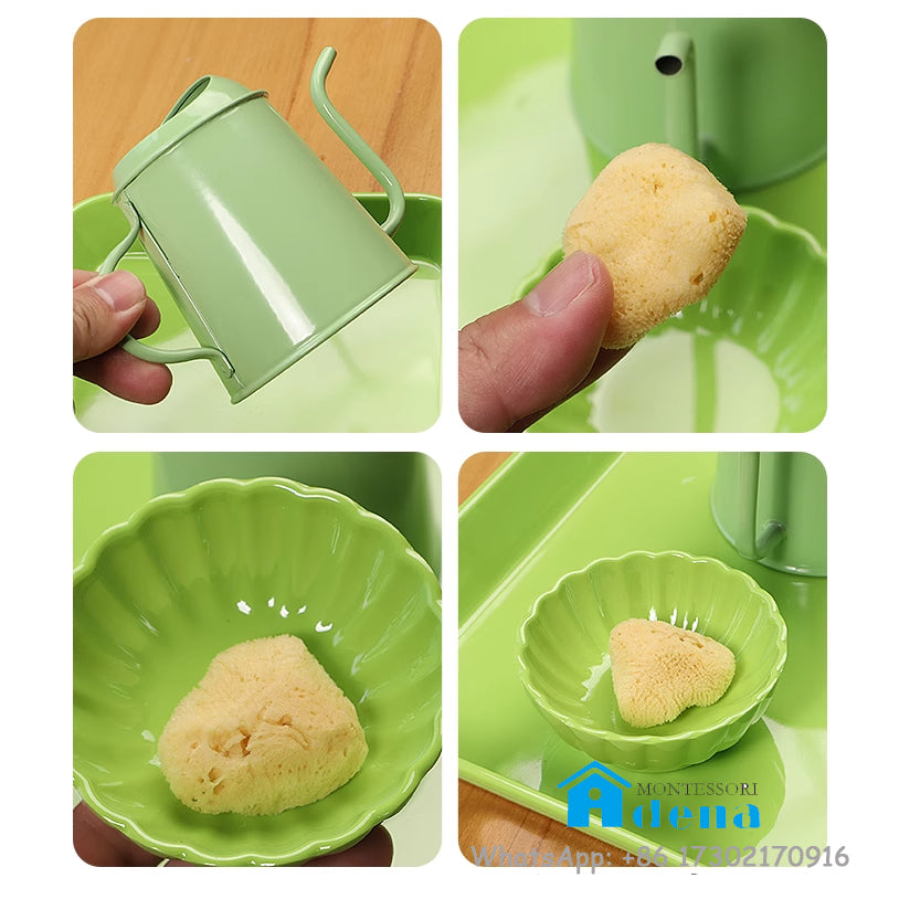 Washing Plants
