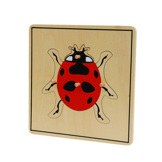 Lady Puzzle