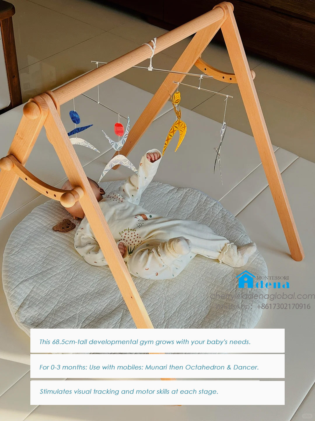 Grow-With-Me Montessori Gym