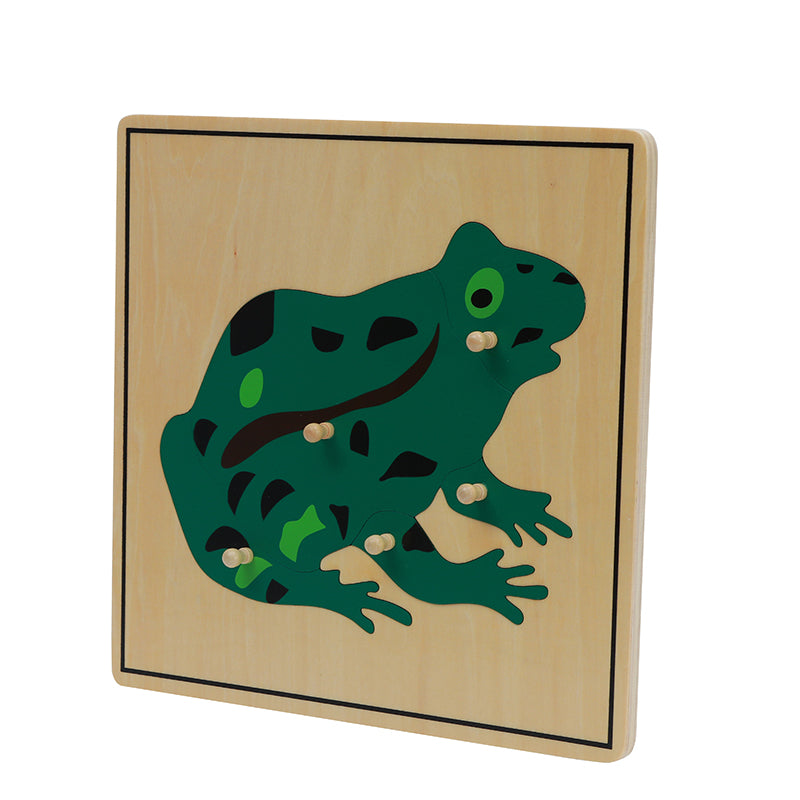 Frog Puzzle
