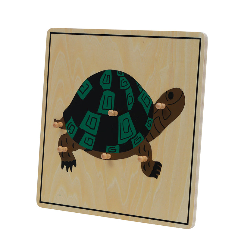 Turtle Puzzle
