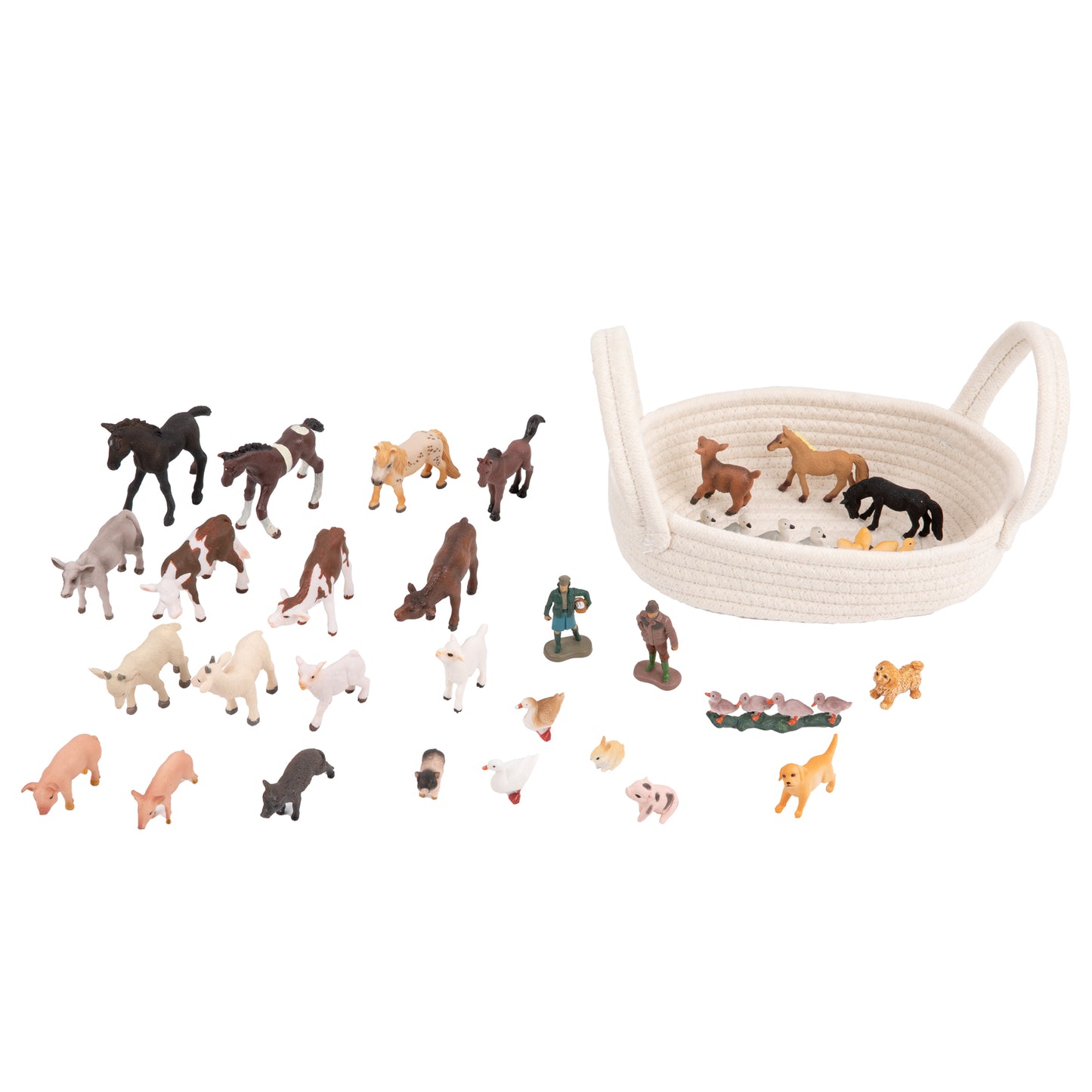 Farm Animals -adjective