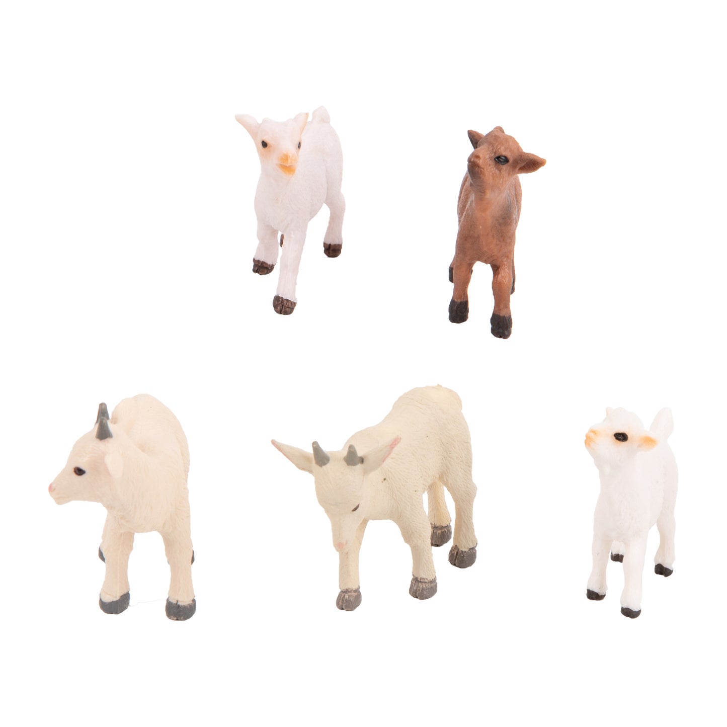 Farm Animals -adjective