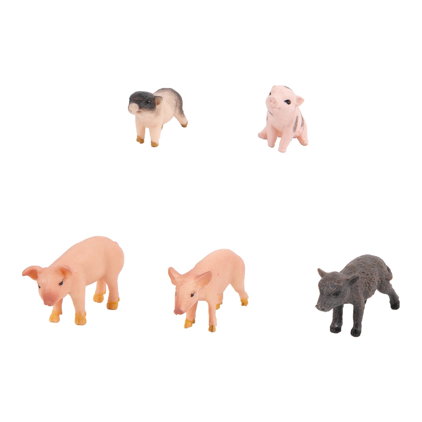 Farm Animals -adjective