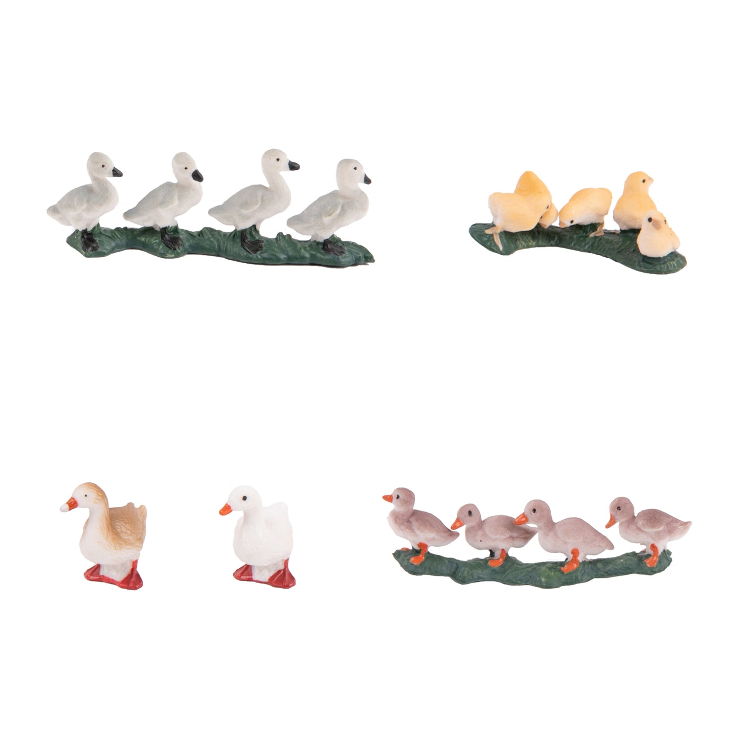 Farm Animals -adjective