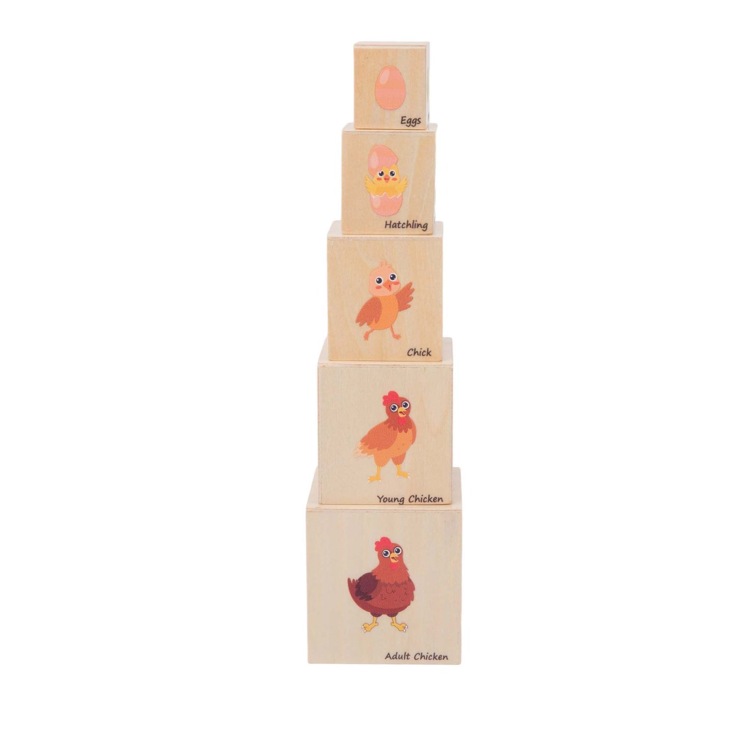 Life Cycle Box Set