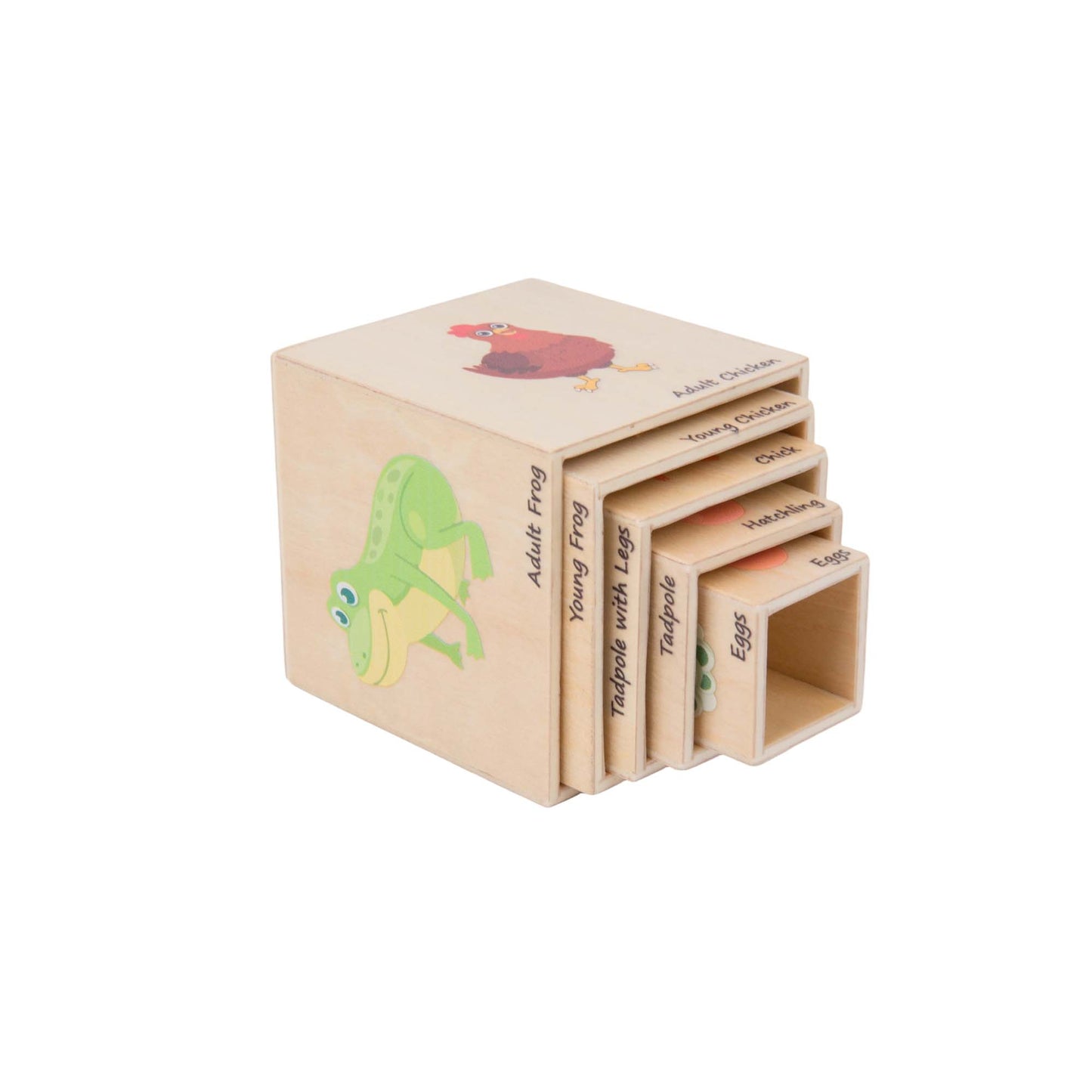 Life Cycle Box Set