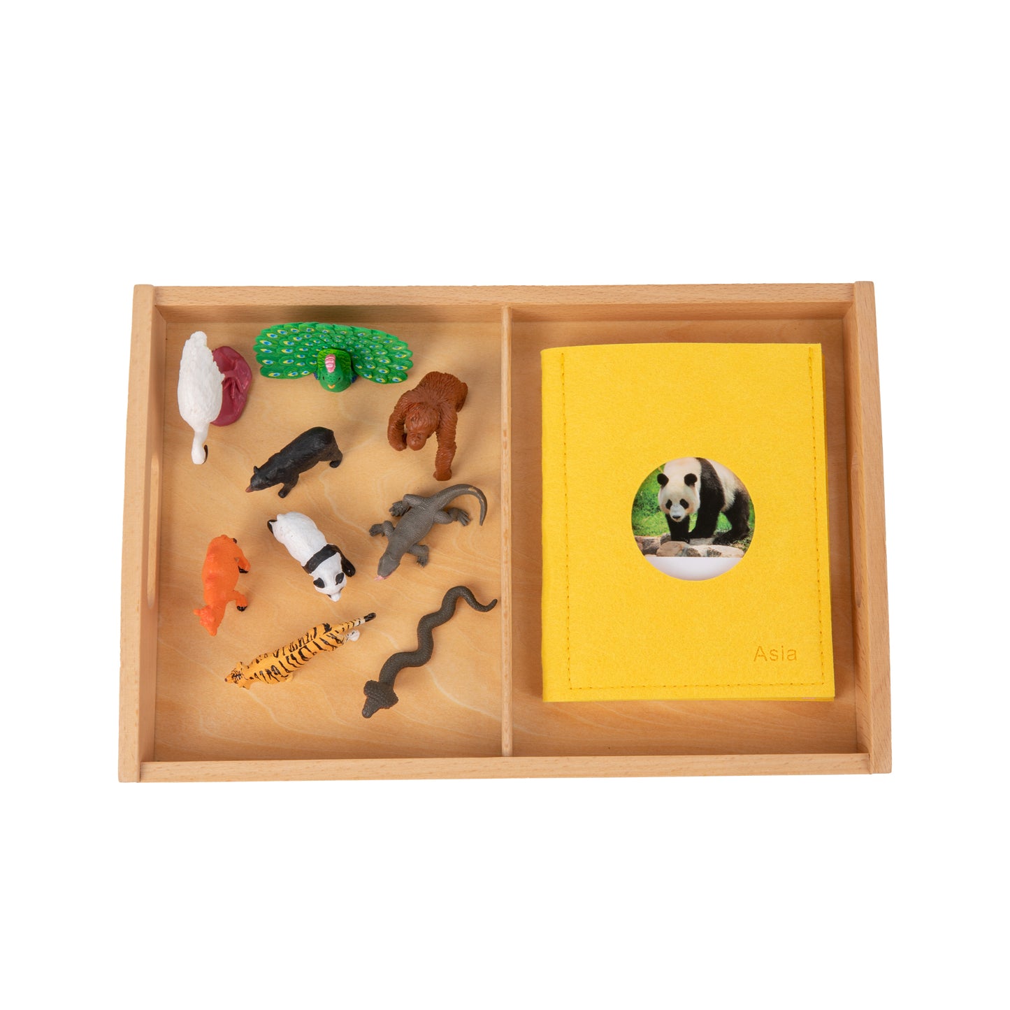 Animal from Asia Objects with Sorting Cards