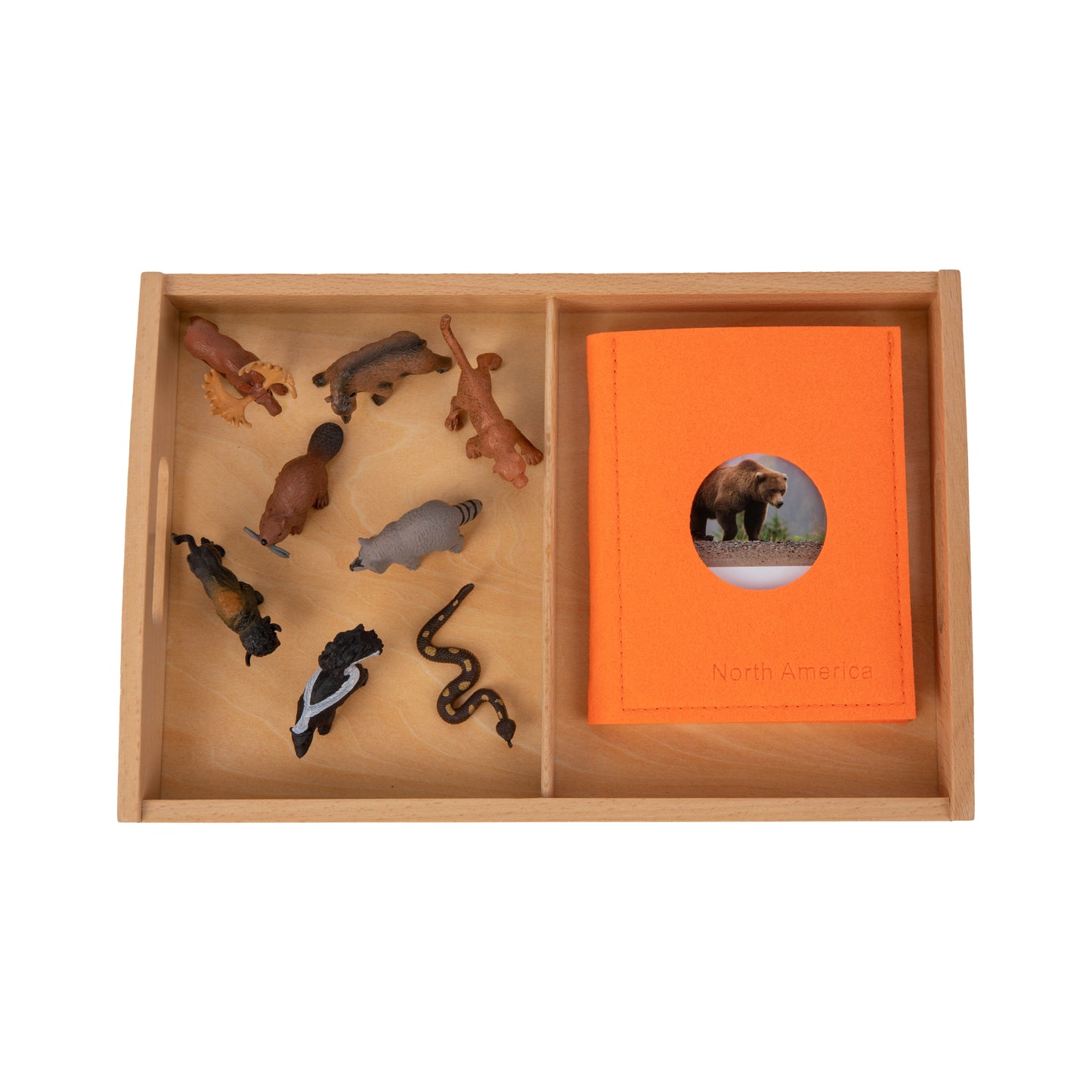 Animal from North America Objects with Sorting Cards