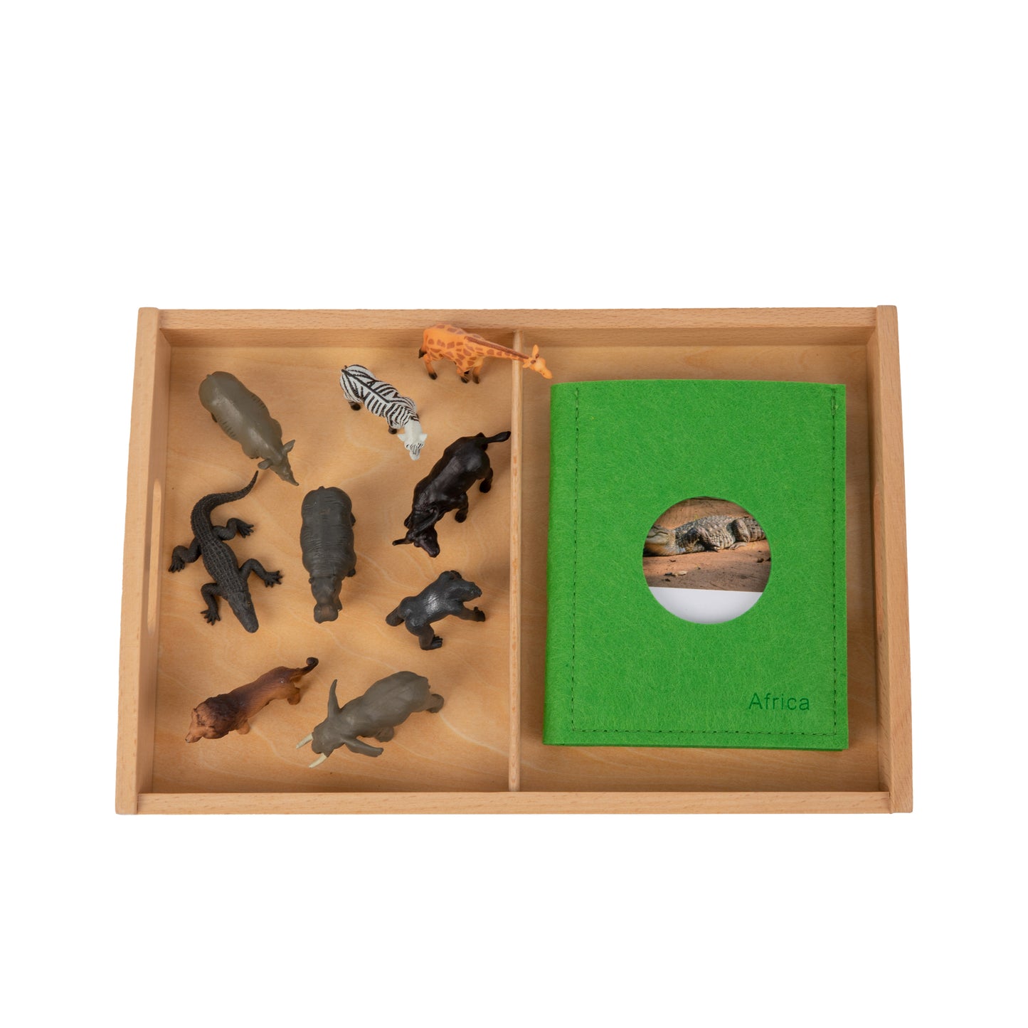 Animal from Africa Objects with Sorting Cards