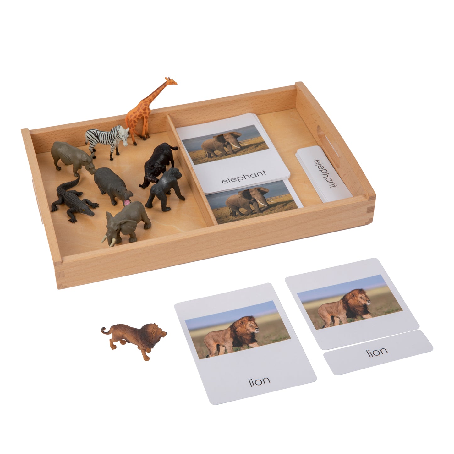 Animal from Africa Objects with Sorting Cards