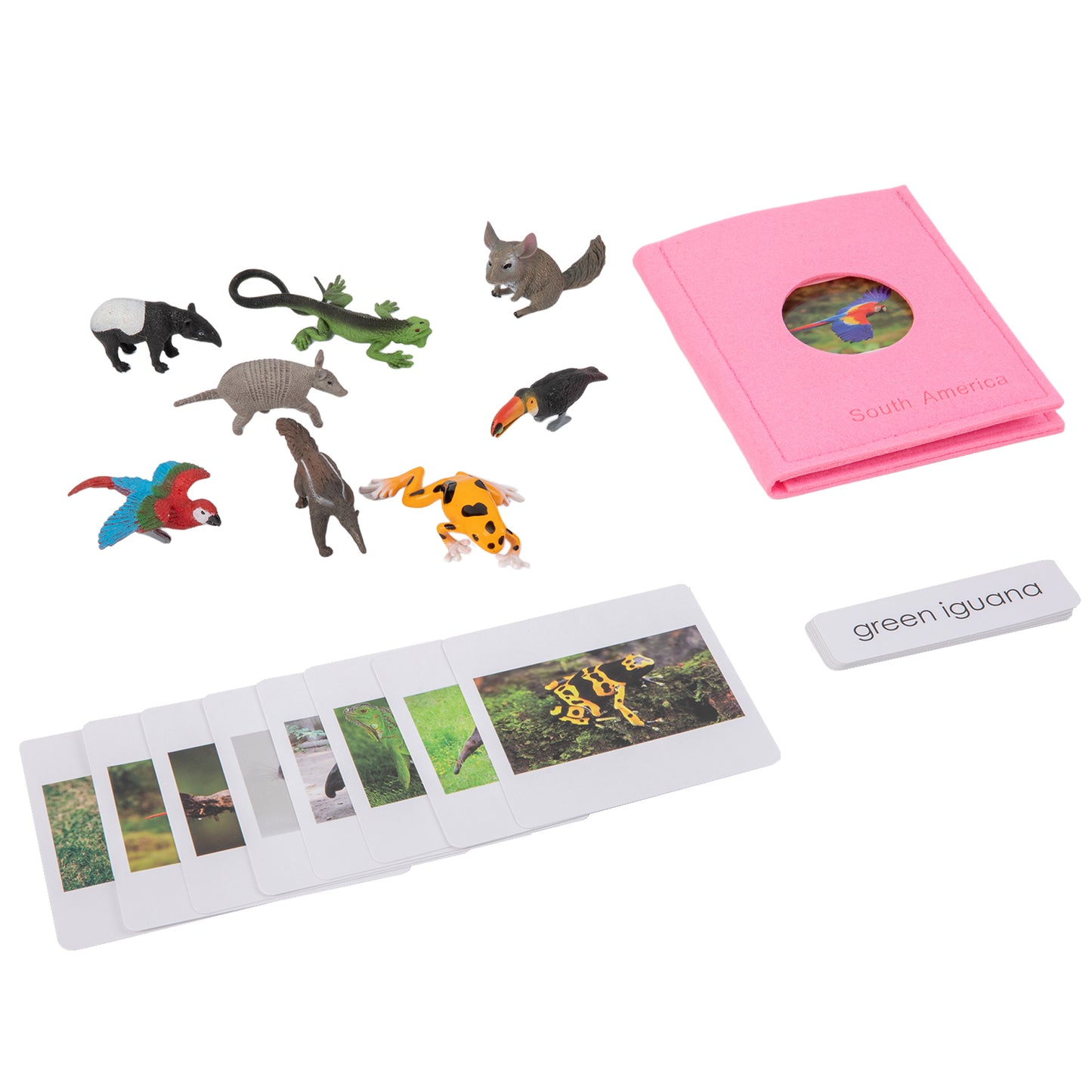 Animal from South America Objects with Sorting Cards