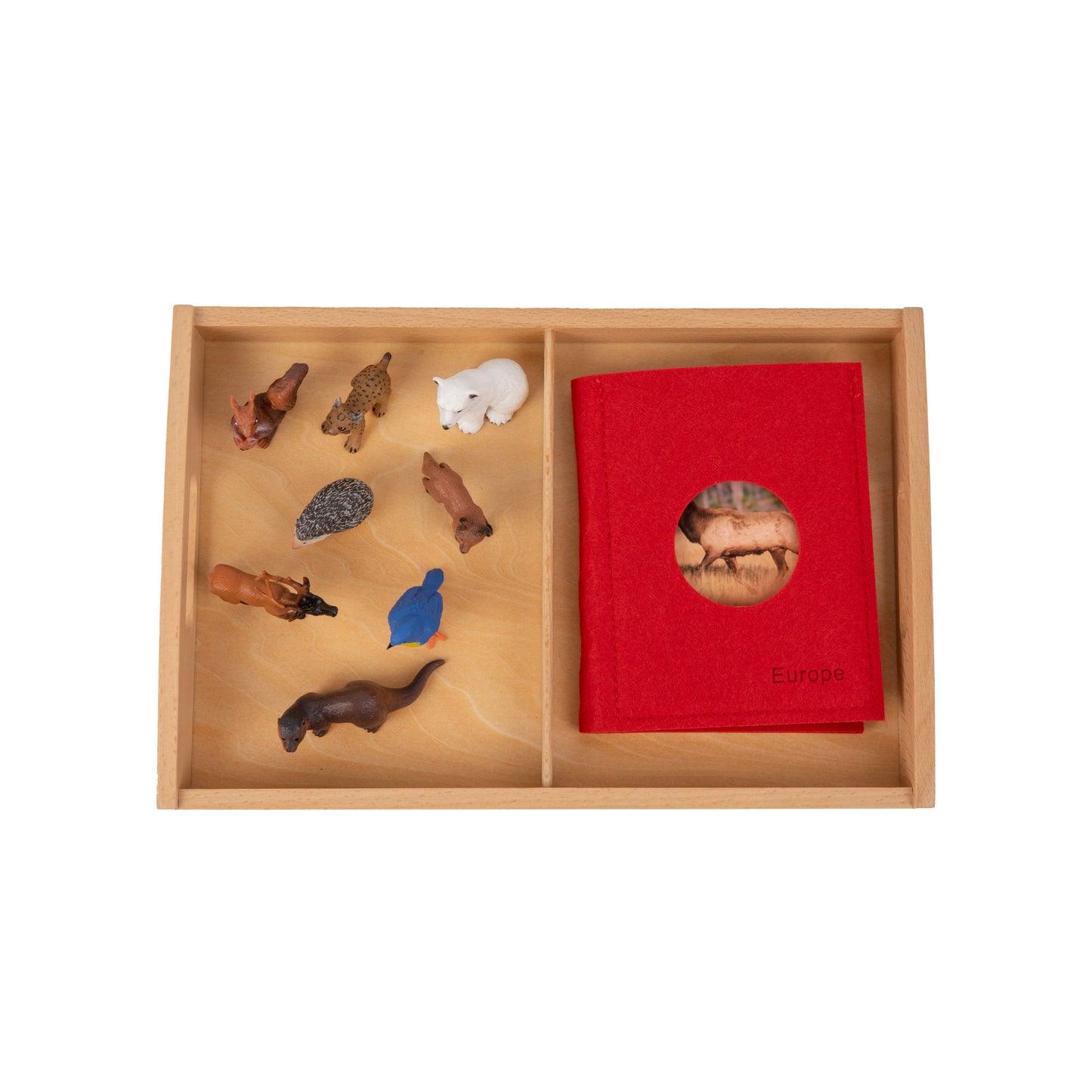 Animal from Europe Objects with Sorting Cards