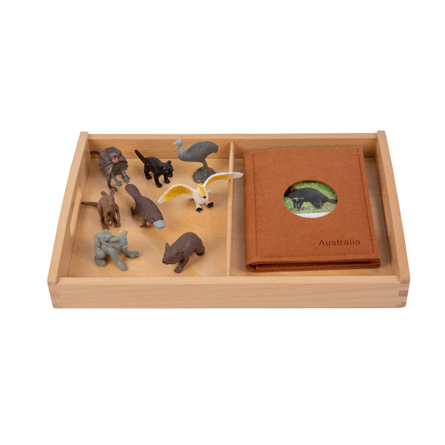 Animal from Australia Objects with Sorting Cards