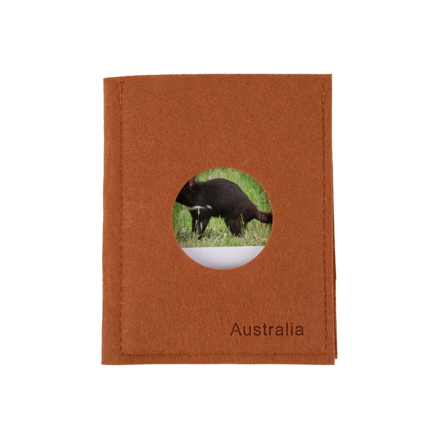 Animal from Australia Objects with Sorting Cards