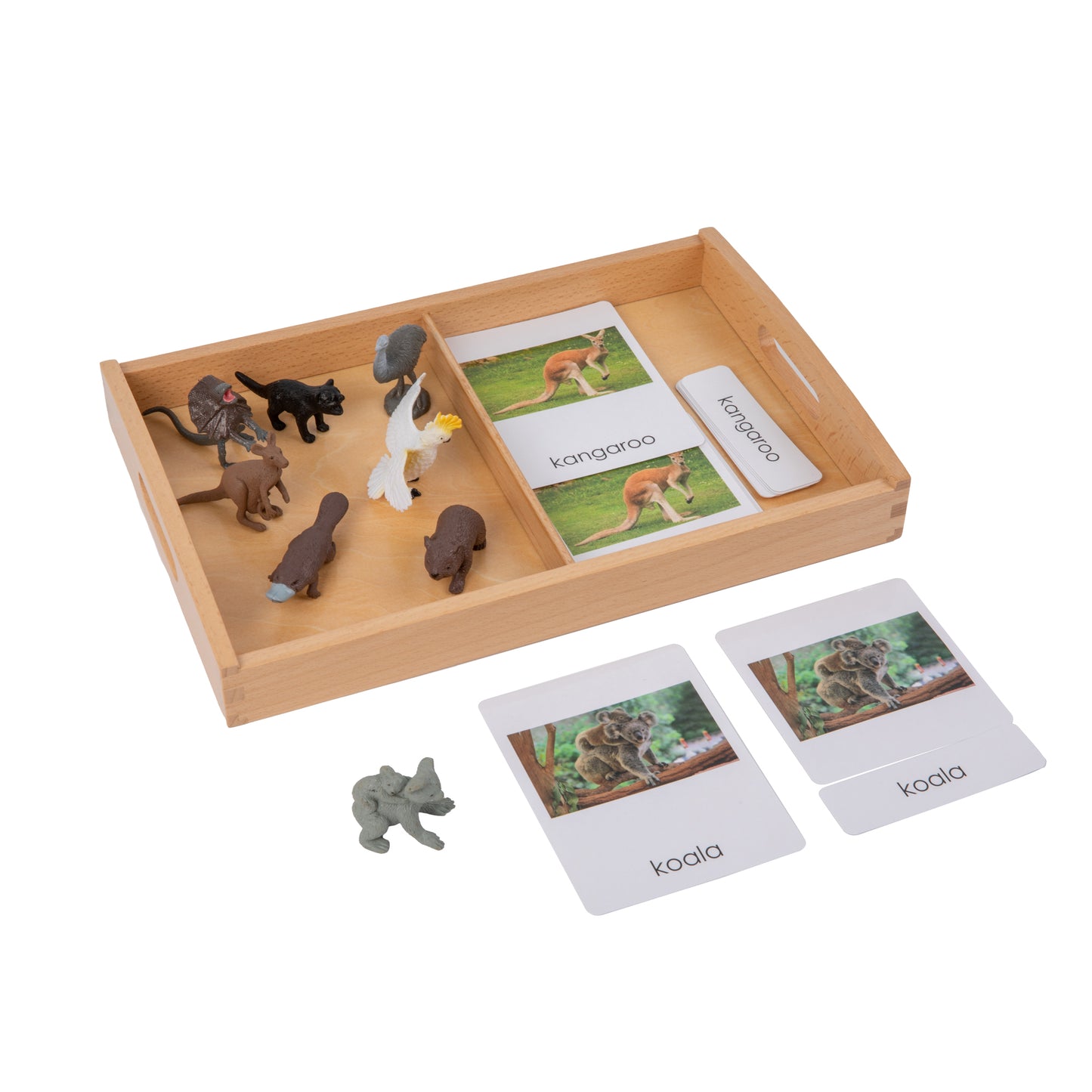 Animal from Australia Objects with Sorting Cards