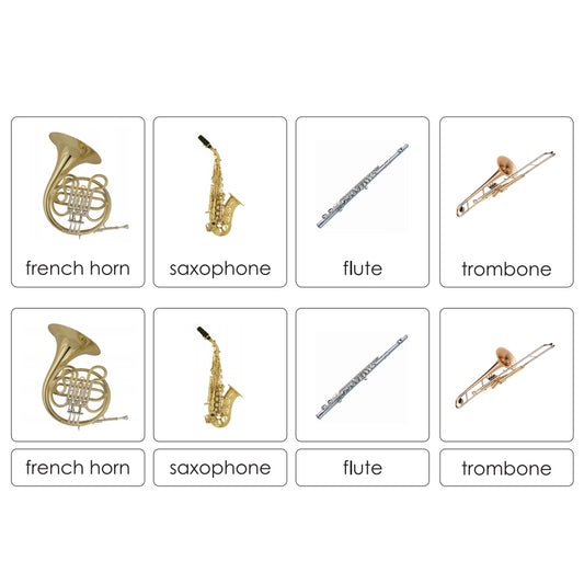 Sorting Cards-Western Instruments EN