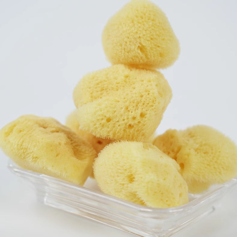 Natural Sea Sponge