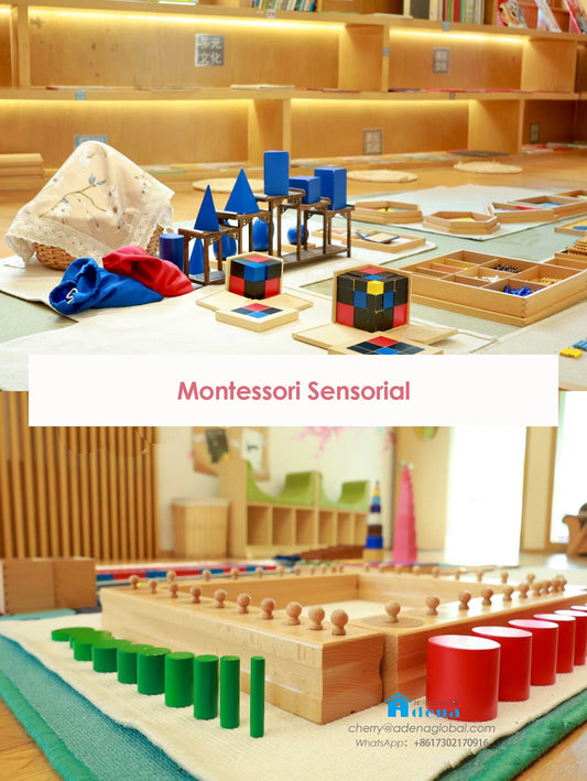 Montessori Education | Sensorial Area