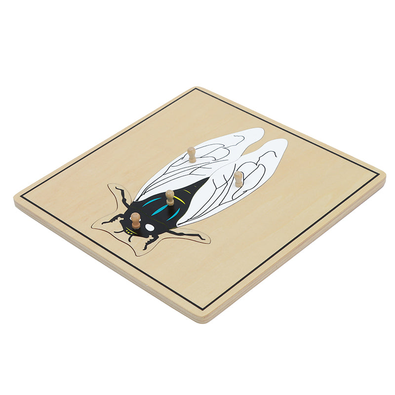 Fly Puzzle (Cicada Puzzle)