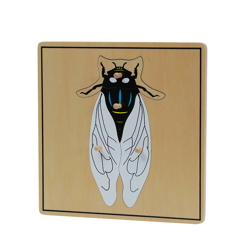 Fly Puzzle (Cicada Puzzle)
