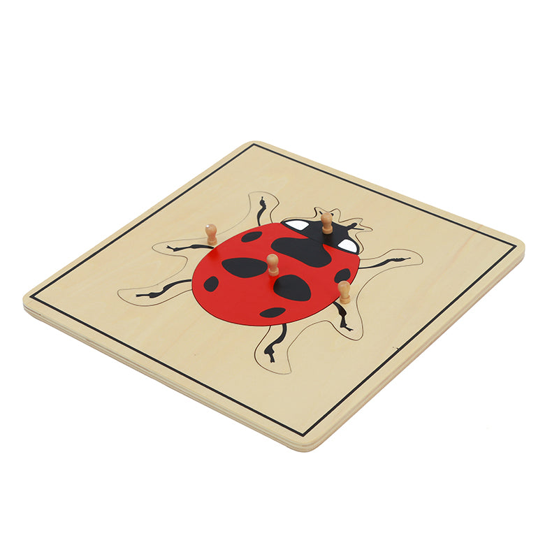 Lady Puzzle