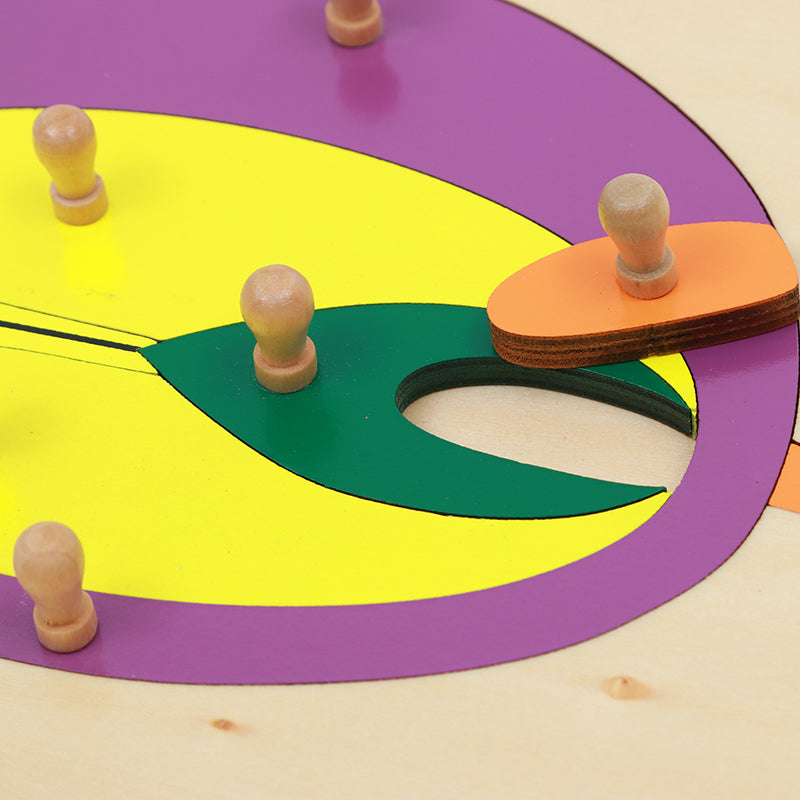Seed Puzzle