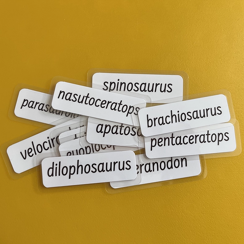Dinosaurs Three-Parts Cards w/ Stand