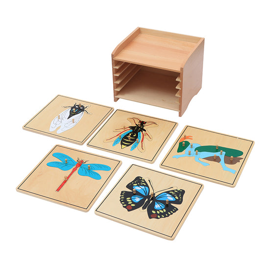 Insect  Puzzle Cabinet (5 Puzzles Included)
