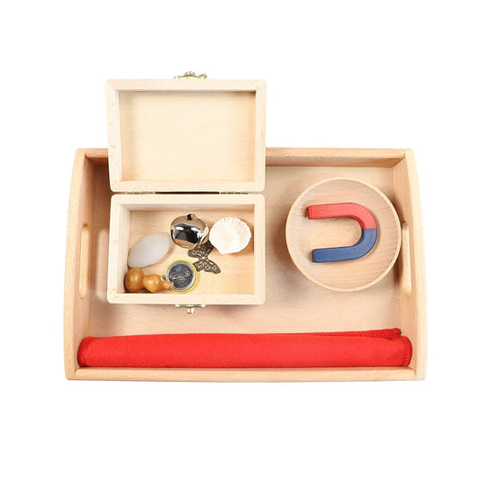 Magnet Activity