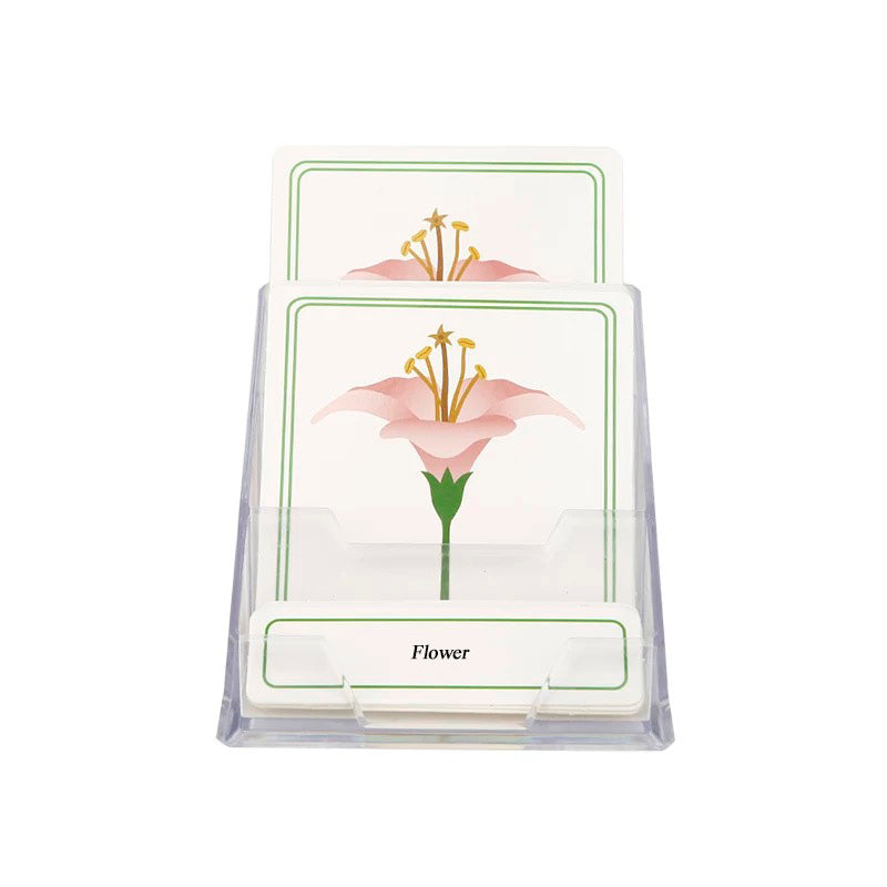 Plastic Holder for 3 Parts Cards