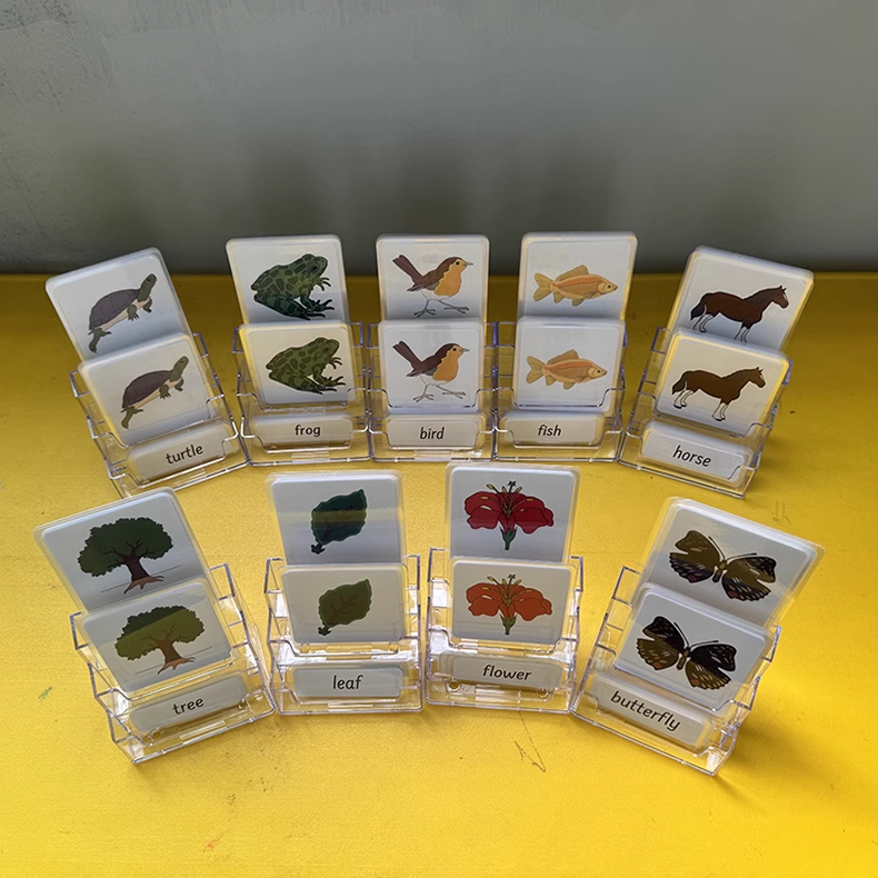 Plastic Holder for 3 Parts Cards