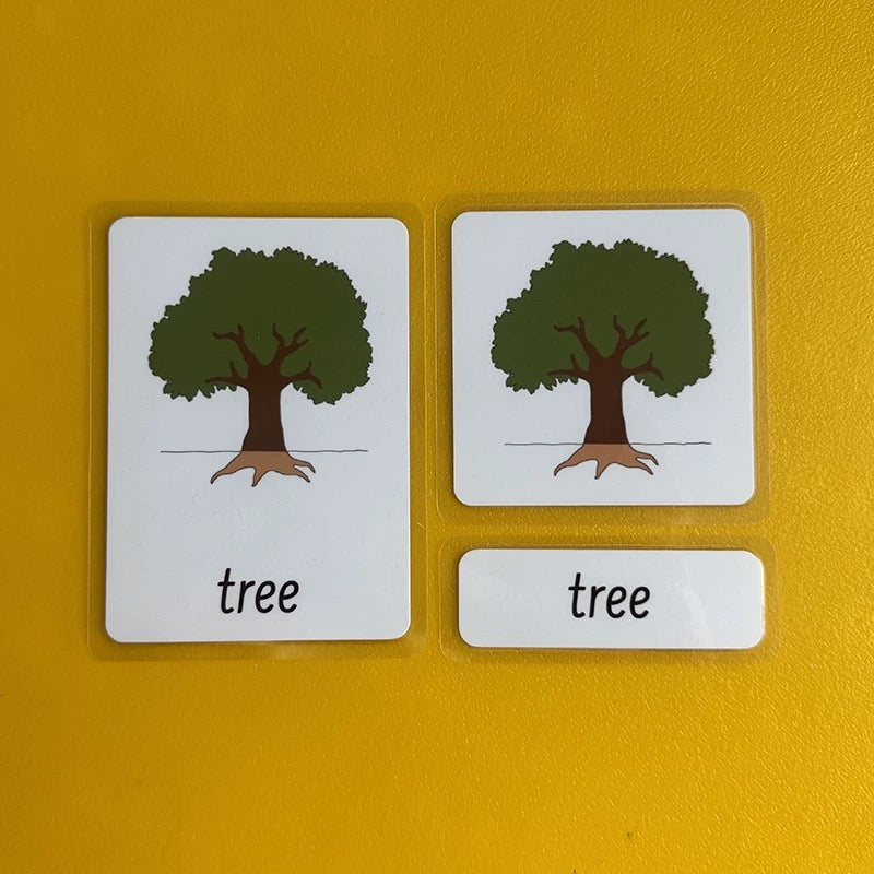 Three-Parts Cards w/ Stand - botany & animal & insect