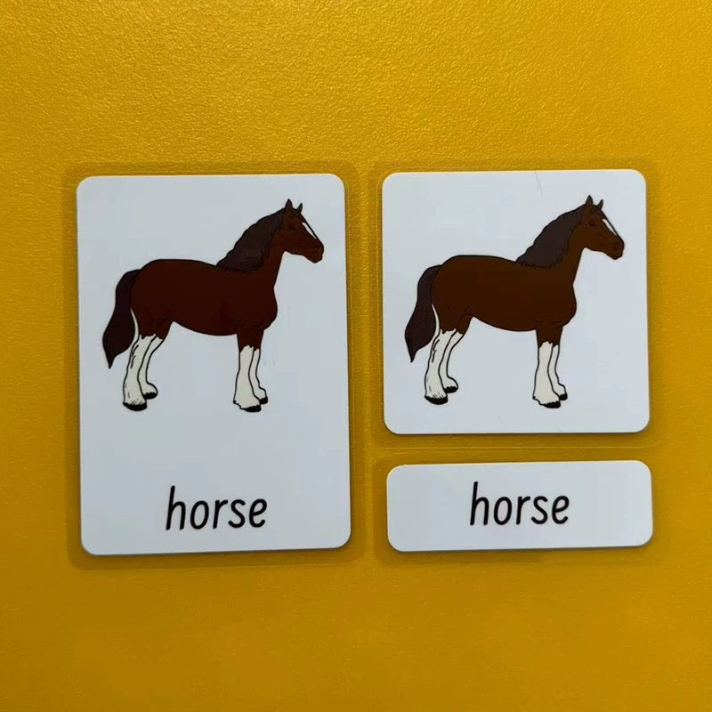 Three-Parts Cards w/ Stand - botany & animal & insect