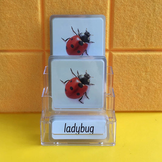 Insects Three-Parts Cards w/ Stand