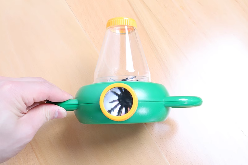 Insect Observation Box (1 piece）