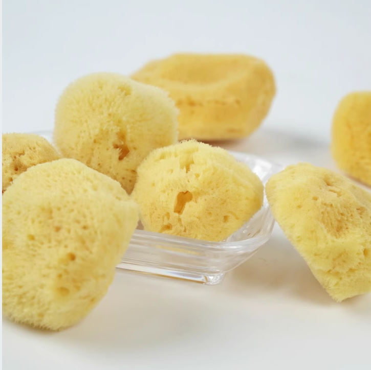 Natural Sea Sponge
