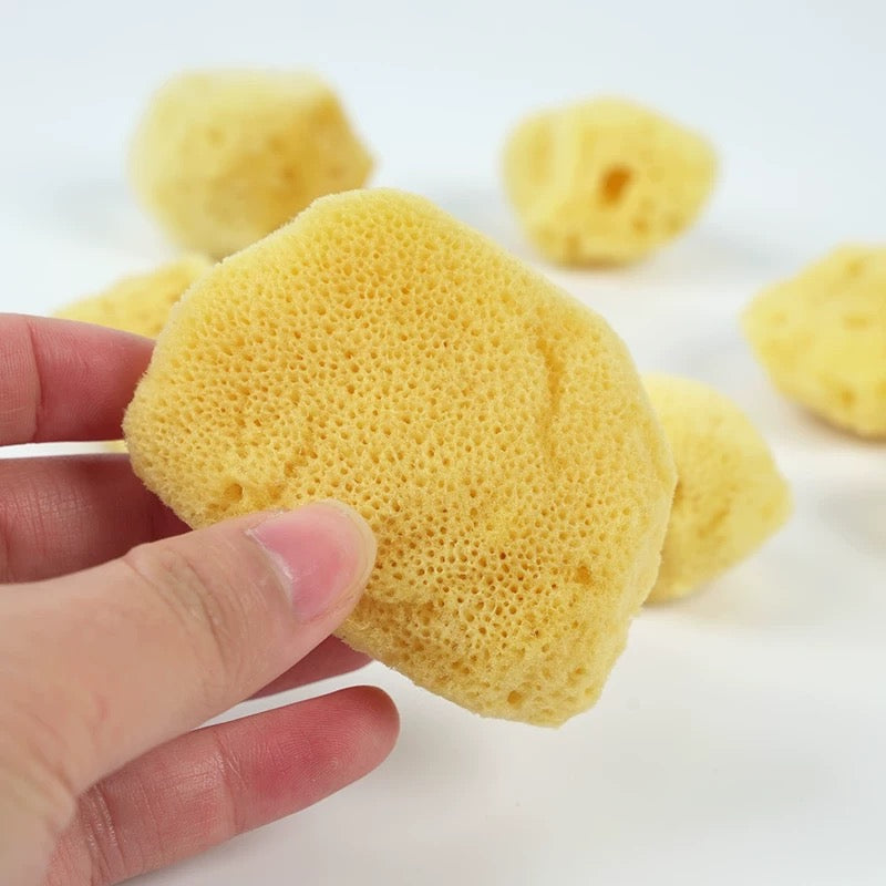 Natural Sea Sponge